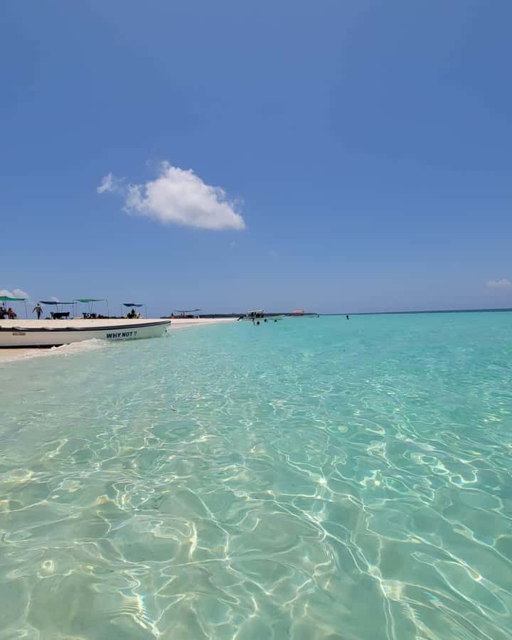Zanzibar: Discover fullday snorkeling +sandbank BBQ - How to prepare for seven hours outside