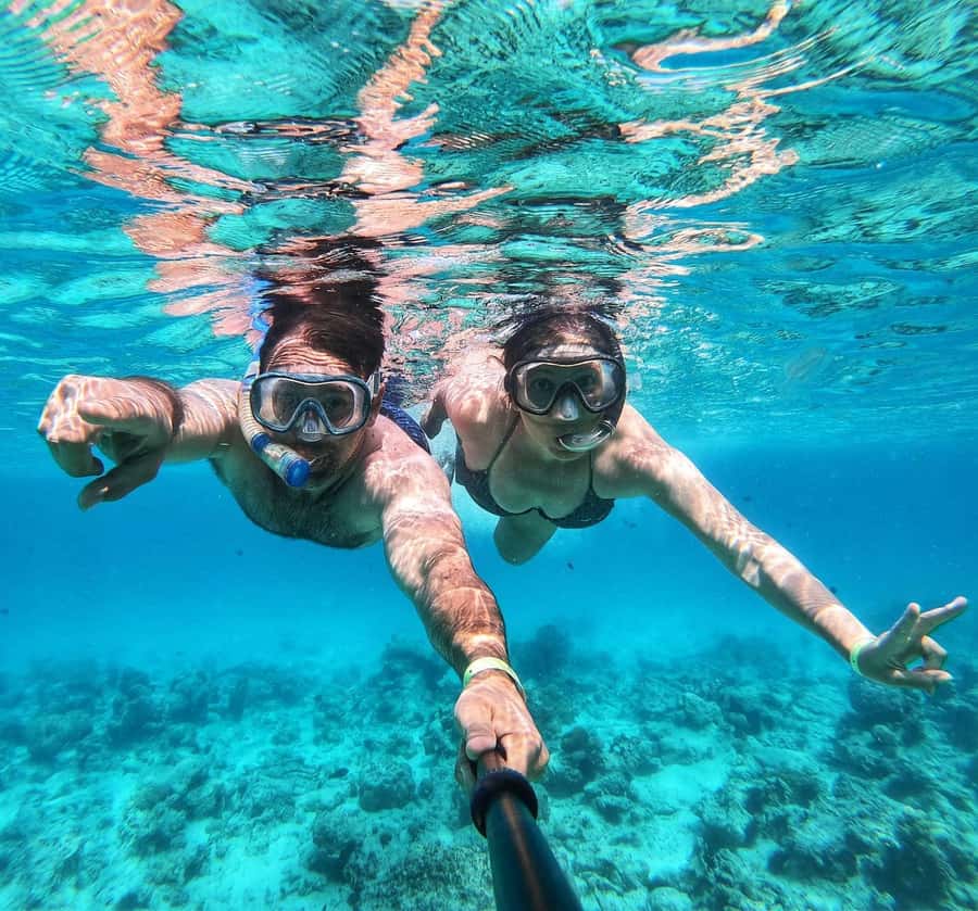 Zanzibar dolphins+ snokling at mnemba with turles swimming - Why Mnemba Atoll Is Zanzibar’s Big Marine Excursion