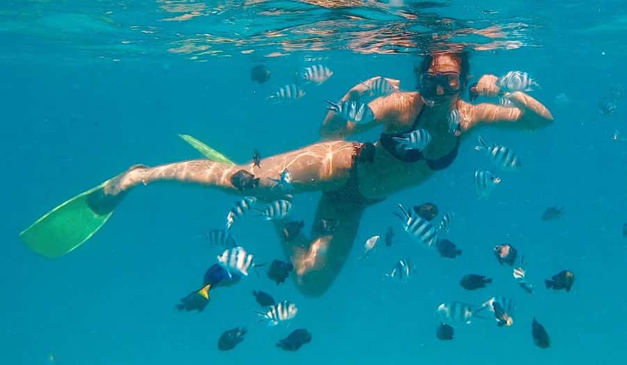 Zanzibar dolphins+ snokling at mnemba with turles swimming - Food, Drinks, and What You Should Pack