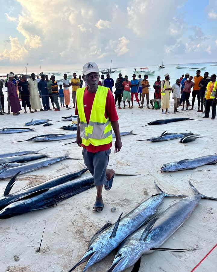 ZANZIBAR FISHING EXPRIENCE - Key points to know before you book