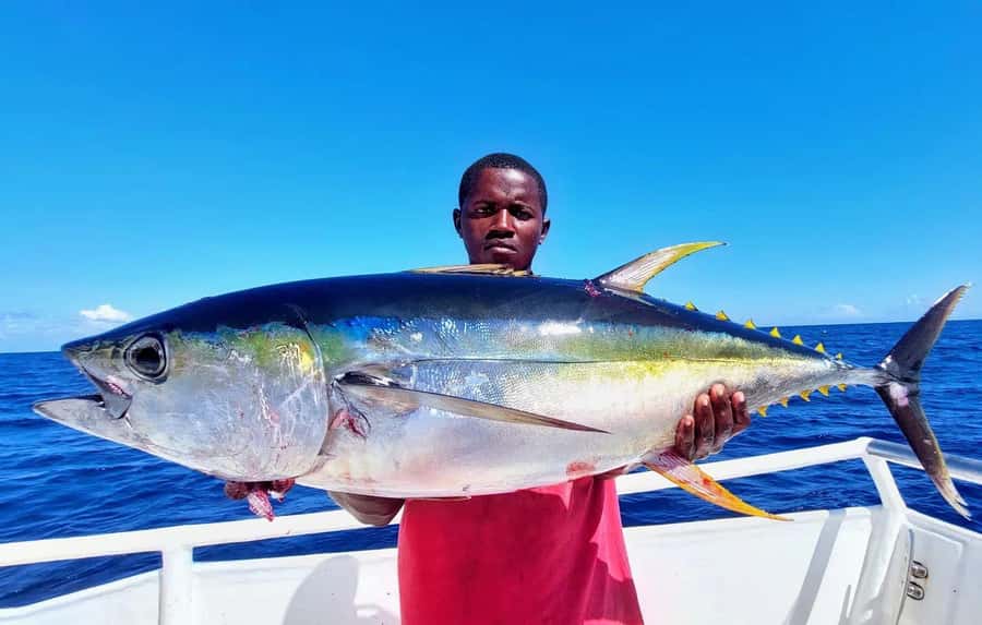 ZANZIBAR FISHING EXPRIENCE - Switching from open water to reef fishing
