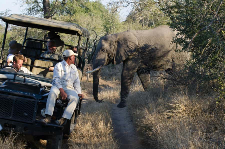 Zanzibar: Fly to Nyerere National Park – 2-Day Safari - Key points to know before booking