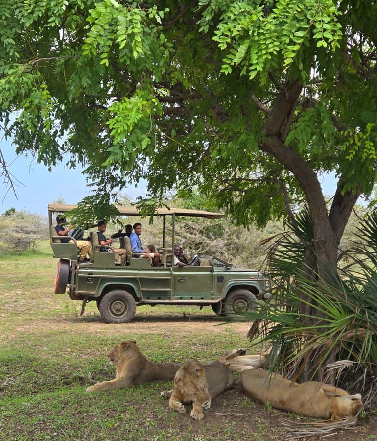 Zanzibar: Fly to Nyerere National Park – 2-Day Safari - Selous Safari Lodge: what the overnight stay adds