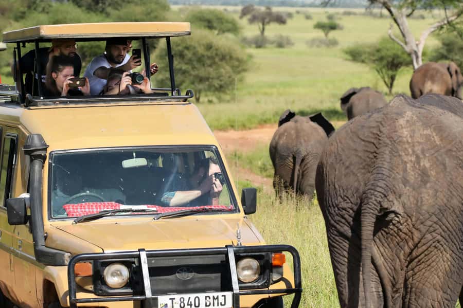 Zanzibar: Fly to Nyerere National Park – 2-Day Safari - Cancellation, payment, and pickup details