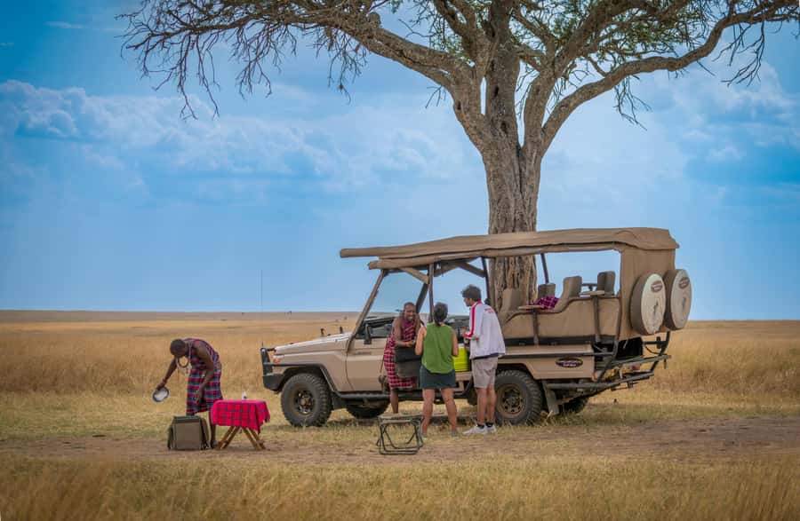 Zanzibar: Fly to Nyerere National Park – 2-Day Safari - Who should book this Nyerere safari