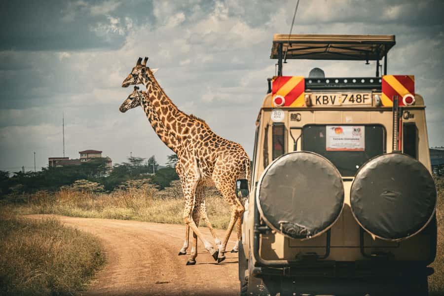 Zanzibar: Fly to Nyerere National Park – 2-Day Safari - Day one: flying from Zanzibar into the bush