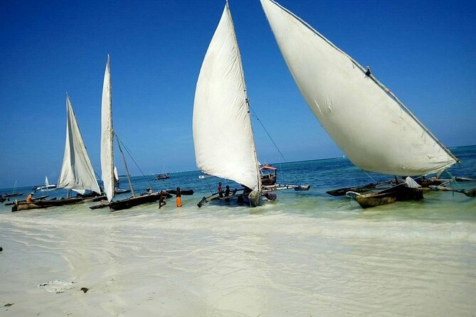 Zanzibar Full Day Mnemba Island, Nungwi and Kendwa Beach Tour - Key points to know before booking