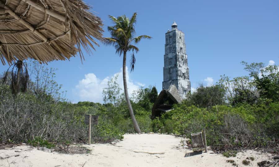Zanzibar: Full-Day Protected Chumbe Island Tour w. Lunch - Key points to know before booking