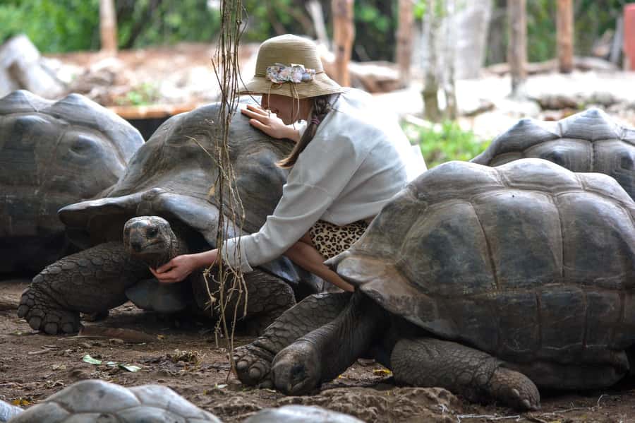 Zanzibar: Half-Day Prison Island, Tortoises and Spices Tour - Key points to know before booking