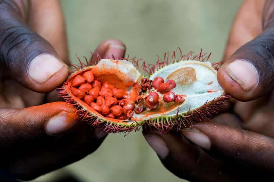 Zanzibar: Half-Day Prison Island, Tortoises and Spices Tour - What the Prison Island buildings add