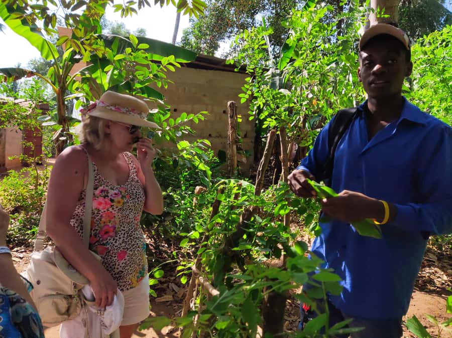 Zanzibar: Half-Day Prison Island, Tortoises and Spices Tour - Where the guiding makes the difference