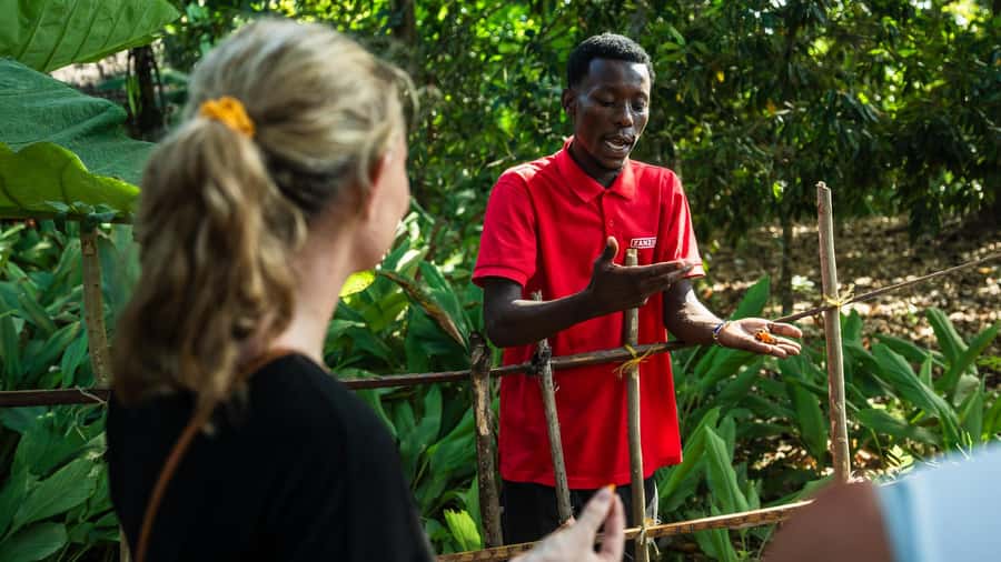 Zanzibar: Half-Day Spice Farm Tour,the flavours of Zanzibar - Walking among cloves, cinnamon, nutmeg, and pepper