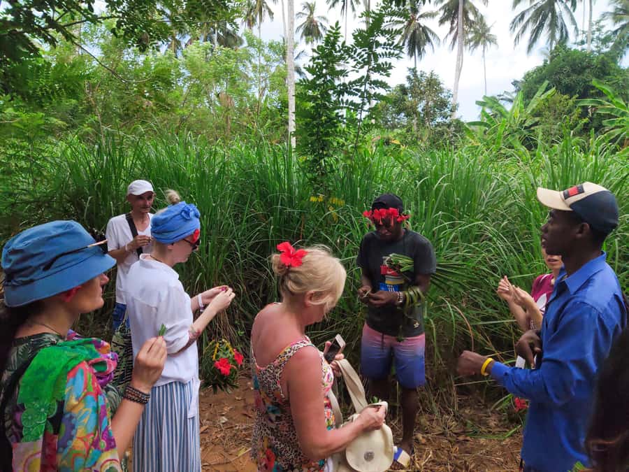 Zanzibar: Half-Day Spice Farm Tour,the flavours of Zanzibar - The shopping stops and the real price of the tour