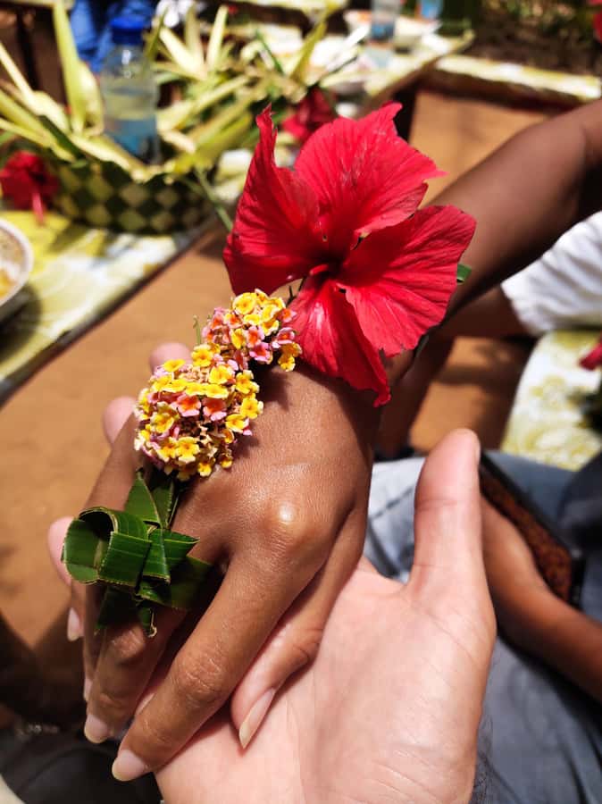 Zanzibar: Half-Day Spice Farm Tour,the flavours of Zanzibar - Morning or afternoon: choosing the better slot