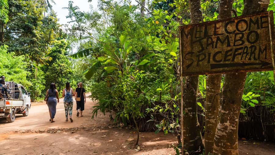 Zanzibar: Half-Day Spice Farm Tour,the flavours of Zanzibar - The drive from Zanzibar hotel reception