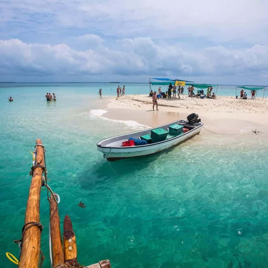 Zanzibar: Half Day Trip on Nakupenda with Prison Island - From Stone Town to Prison Island by dhow