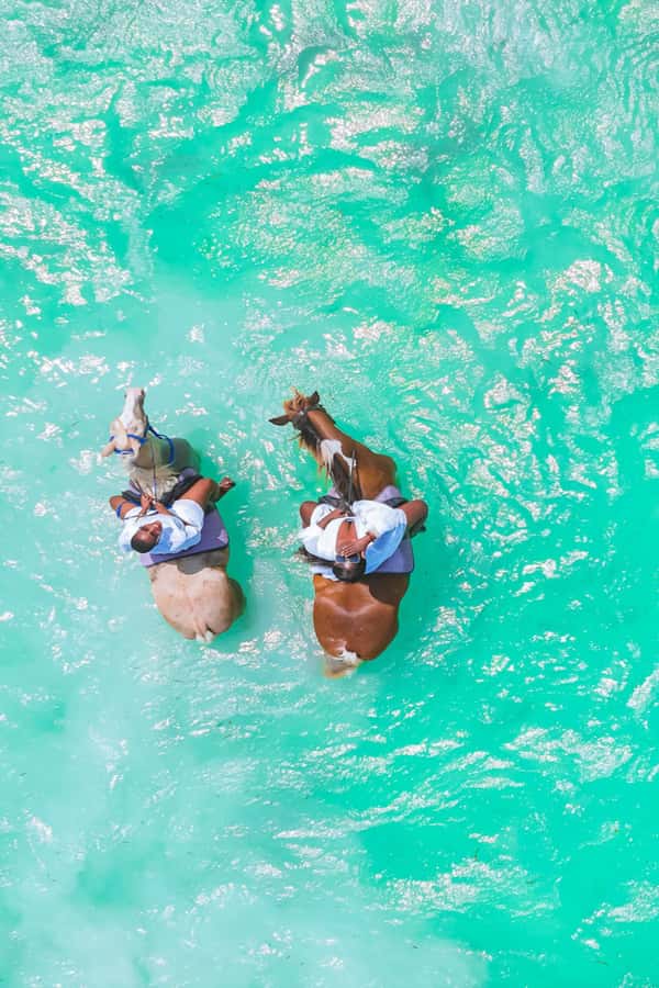 Zanzibar: Horse Riding and Kayaking with Video and Photos - Is $230 a fair price?