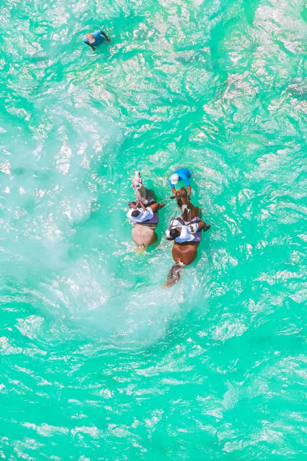 Zanzibar: Horse Riding and Kayaking with Video and Photos - Sunrise or sunset makes the biggest difference