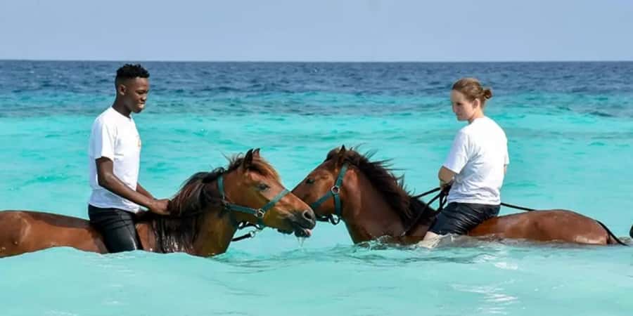 Zanzibar Horseback Riding - A short ride with a very Zanzibar setting