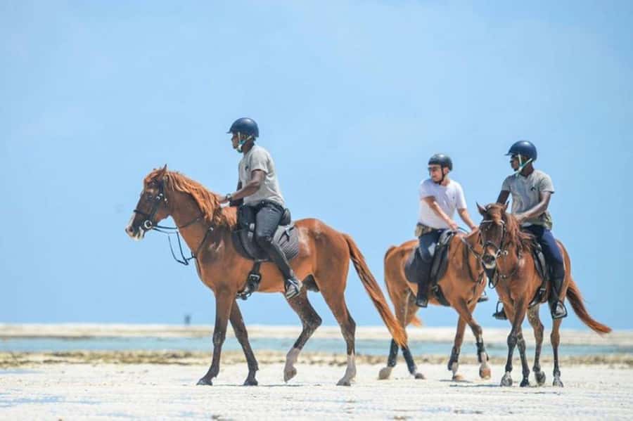 Zanzibar Horseback Riding - Meeting your horse and getting comfortable