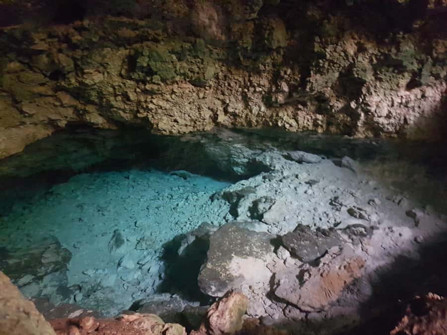Zanzibar: Horseback Riding and Turtle Aquarium Visit - Should you book the horse swim and turtle visit?