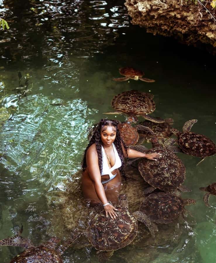 Zanzibar: Horseback Riding and Turtle Swimming Tour - Key points to know before booking