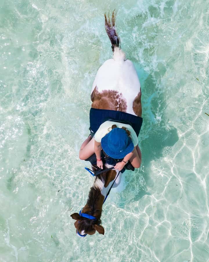 Zanzibar: Horseback Riding and Turtle Swimming Tour - Should you book the horseback and turtle tour?