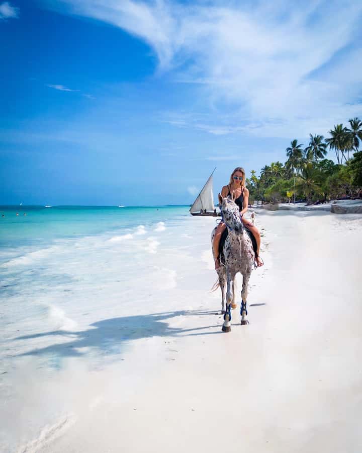 Zanzibar: Horseback Riding and Turtle Swimming Tour - How the six-hour day works