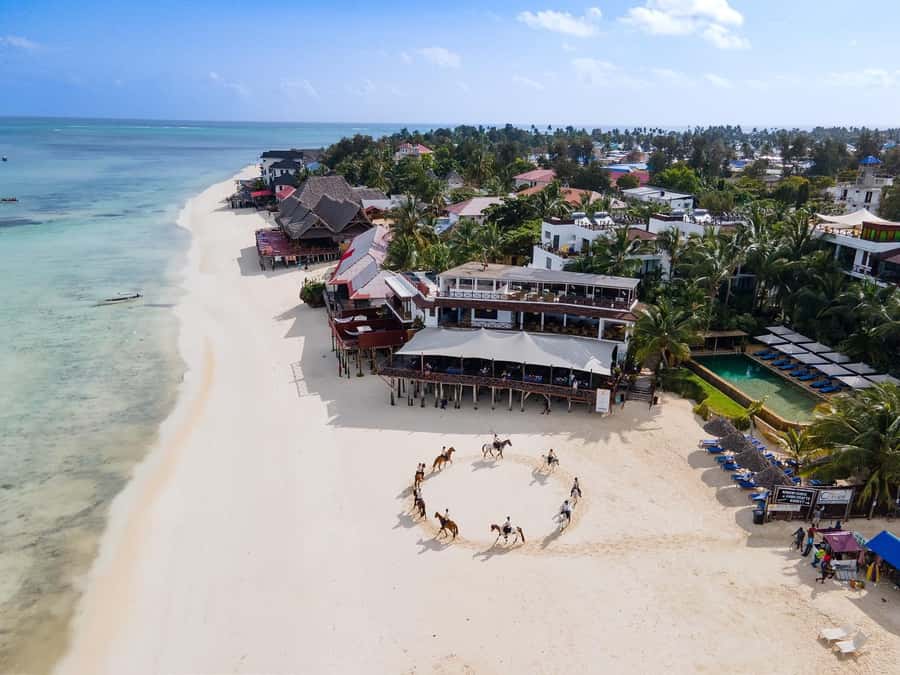 Zanzibar: Horseback Riding and Turtle Swimming Tour - What the $195 price really covers