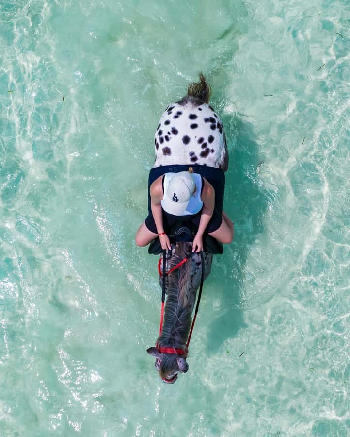 Zanzibar: Horseback Riding and Turtle Swimming Tour - The strongest parts of the experience