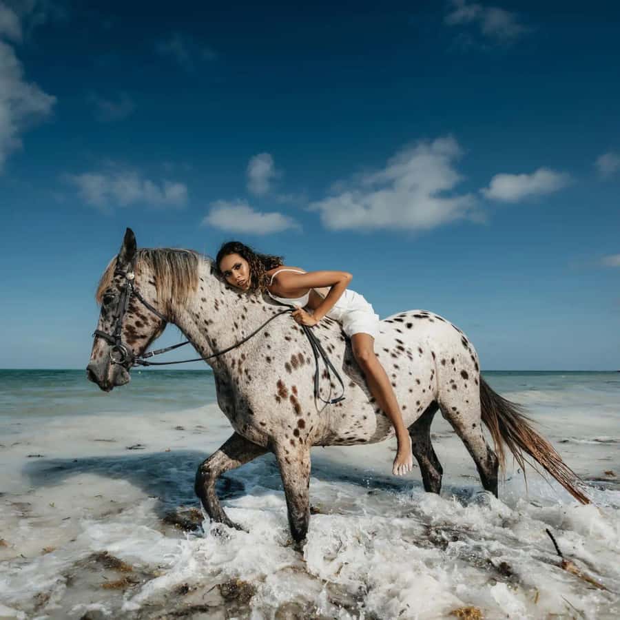 Zanzibar: Horseback Riding and Turtle Swimming Tour - Who will enjoy this Zanzibar tour