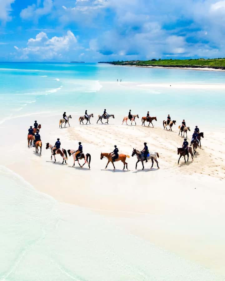 Zanzibar: Horseback Riding and Turtle Swimming Tour - Practical preparation for the day