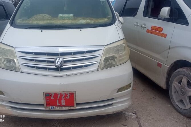 Zanzibar Island Private Taxi Airport and Hotel Transfer - The private car and the ride itself