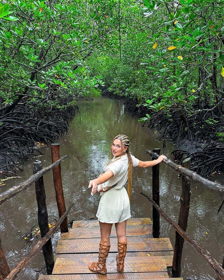 ZANZIBAR; JOZANI FOREST - Mangroves, Fish, and Crabs at Chwaka Bay