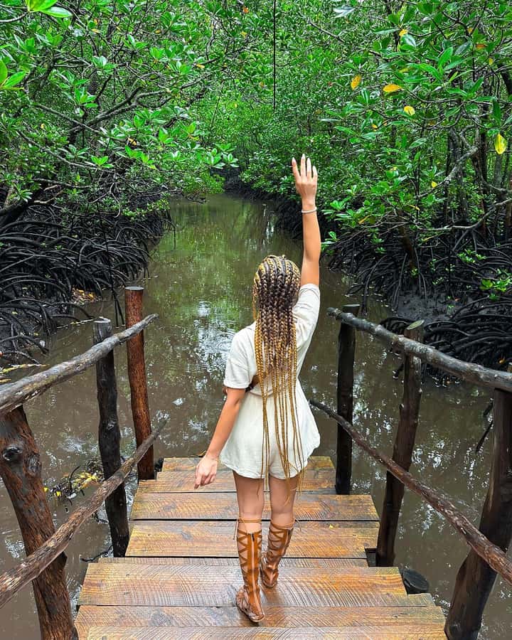 ZANZIBAR; JOZANI FOREST - Who Should Book This Jozani Forest Visit?