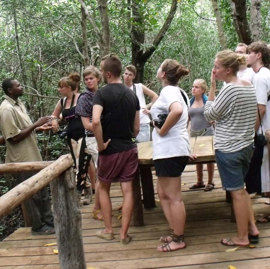 Zanzibar: Jozani Forest and Swim with Sea Turtles. - The important warning about the second transfer