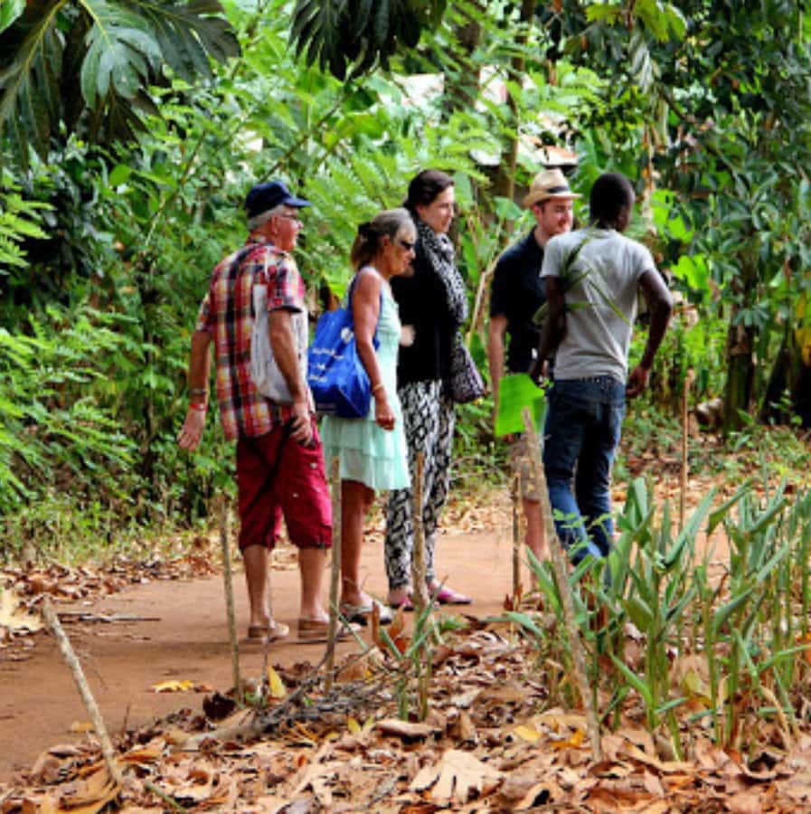 Zanzibar: Jozani Forest and Swim with Sea Turtles. - Practical advice for a smoother outing
