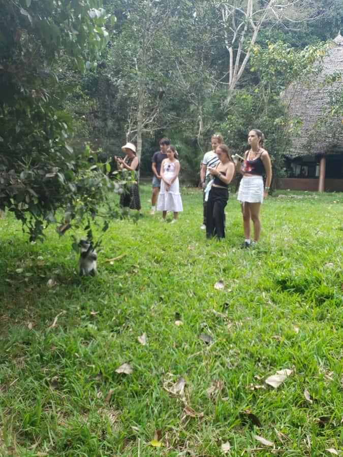 Zanzibar: Jozani forest, Butterfly center & Salaam cave tour - Key points at a glance