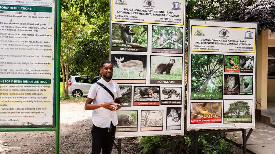 Zanzibar: Jozani Forest Guided Tour,Red Colobus and transfer - Practical advice for a better visit