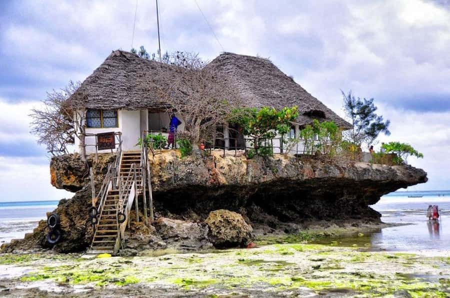 Zanzibar: Jozani Forest, Kuza Cave and Stand Up Paddle Tour - Why this 10-hour Zanzibar day works