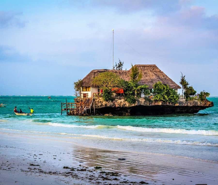 Zanzibar: Jozani Forest, Kuza Cave and Stand Up Paddle Tour - Jozani Forest and Zanzibar’s Red Colobus Monkeys