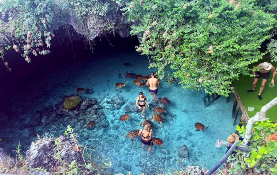 Zanzibar: Jozani Forest, Kuza Cave and Stand Up Paddle Tour - Kuza Cave and a calm-water paddle