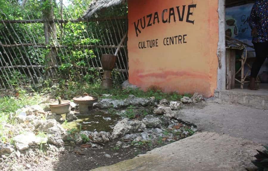 Zanzibar: Jozani forest + Kuza cave visit & Paje beach tour - Starting with Jozani Forest and its red colobus monkeys