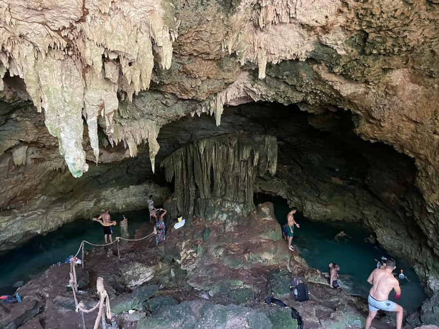 Zanzibar: Jozani forest + Kuza cave visit & Paje beach tour - Is $127 a fair price?