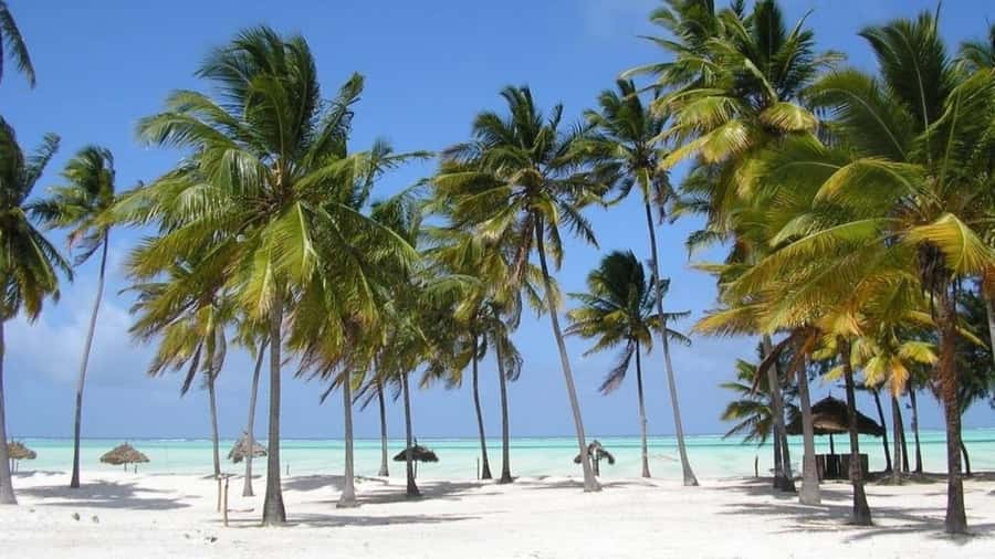 Zanzibar: Jozani forest + Kuza cave visit & Paje beach tour - Should you book this Jozani, Kuza Cave, and Paje tour?