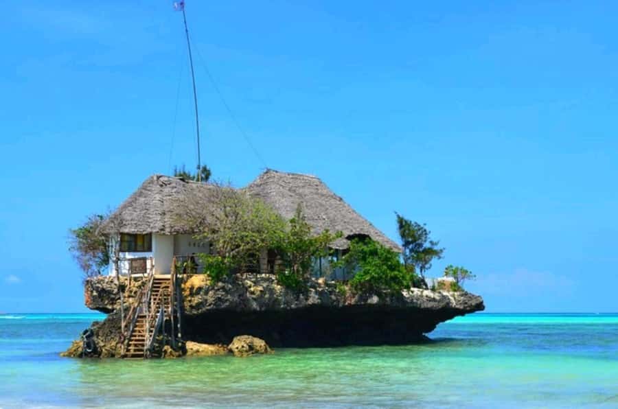 ZANZIBAR: Jozani Forest Monkey Tour and The Rock Restaurant - Key points to know before booking