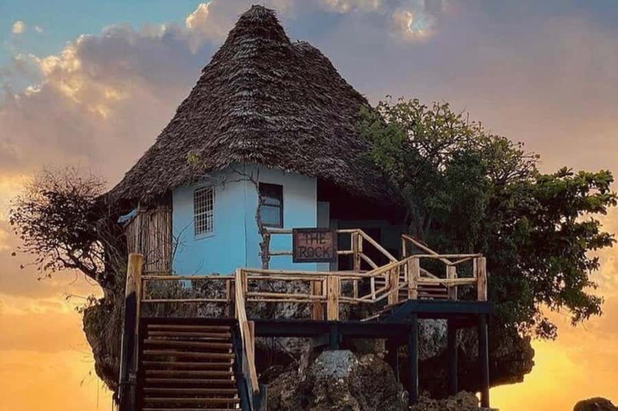 ZANZIBAR: Jozani Forest Monkey Tour and The Rock Restaurant - Finding the Red Colobus monkeys