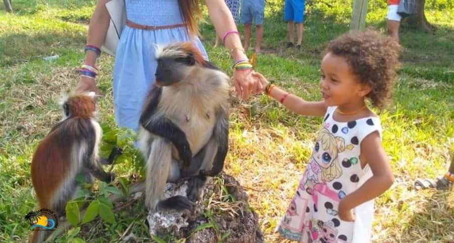 Zanzibar: Jozani Forest National Park Guided Tour - Guide Languages Need Confirmation