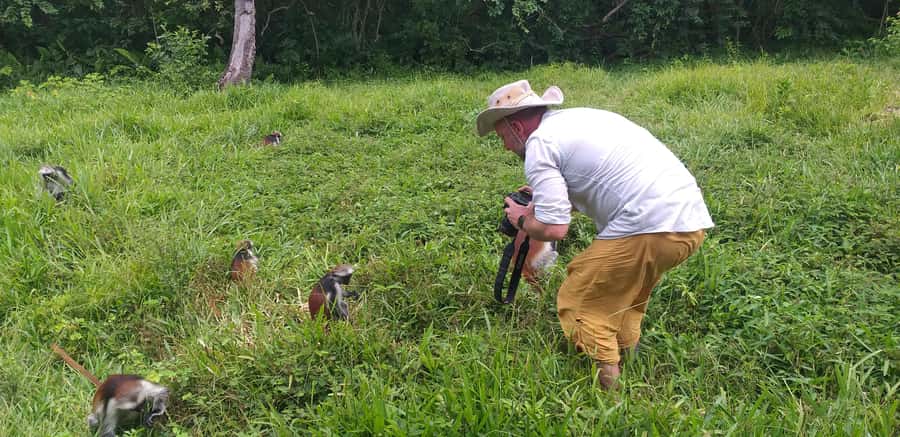 Zanzibar: Jozani Forest & Red Colobus Monkeys Private Tour - Key points to know before you go