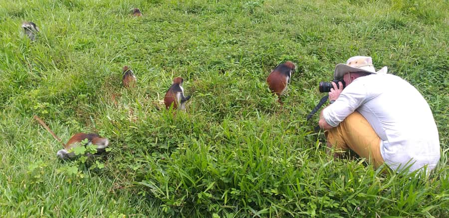 Zanzibar: Jozani Forest & Red Colobus Monkeys Private Tour - Walking into the rainforest